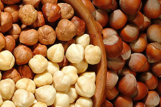 Mega Fındık - Meganut - Kümbetli Fındık