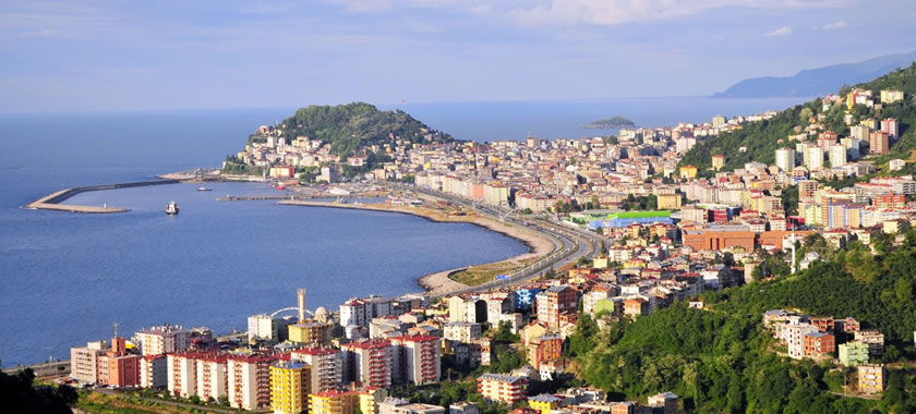 MEGA FINDIK - Giresun Mega Fndk - Meganut