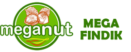 MEGA FINDIK - Giresun Mega Fndk - Meganut